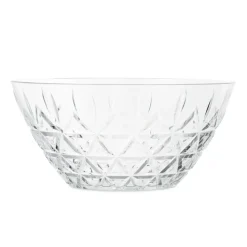 Bol Picknick Ø26 cm , Transparent