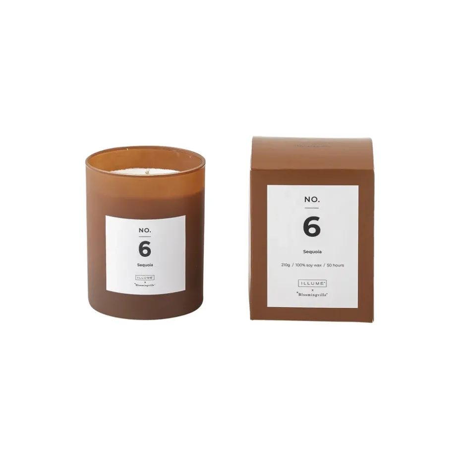 Bougie parfumée NO. 6 Sequoia, 200 g + Giftbox