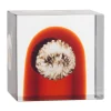 Cube annual Iittala, 2026