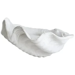 Décoration Shell, Large