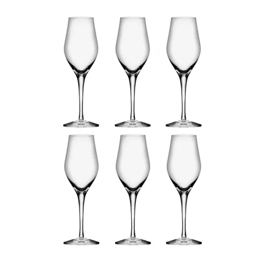 Flûte à champagne Sense 25,5 cl, lot de 6, Transparent