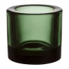 Kivi Photophore 60 mm, Vert pin