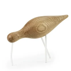 Oiseau marin chêne-blanc, grand