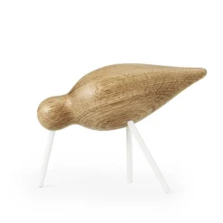 Oiseau marin chêne-blanc, moyen