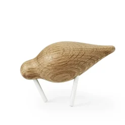 Oiseau marin chêne-blanc, petit