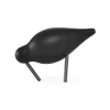 Oiseau marin noir, petit