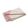 Plaid Fishbone, sorbets