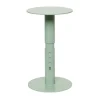 Porte-rouleau de papier Rolling 25 cm, Green