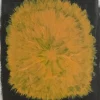 Poster Dandelion 40x50 cm, Jaune-noir