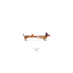 Poster Doug the Dachshund, 30x40 cm