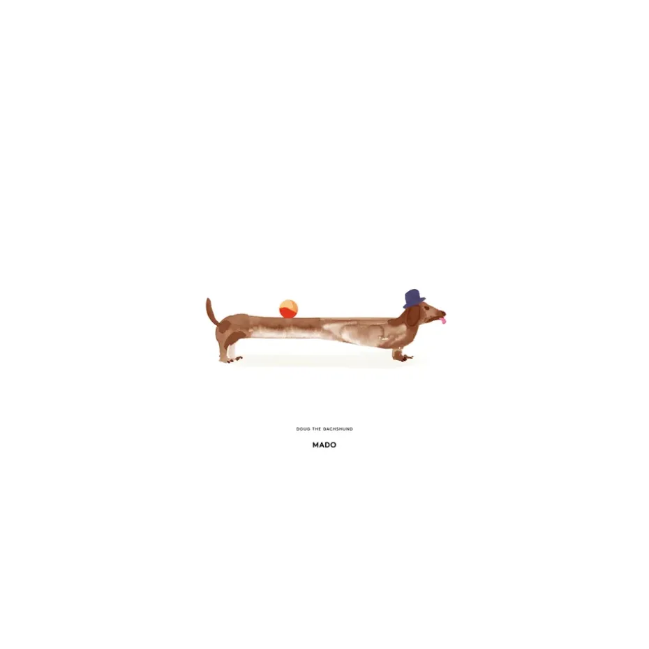 Poster Doug the Dachshund, 30x40 cm