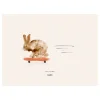 Poster Rocky the Rabbit, 30x40 cm