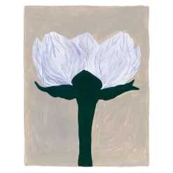 Poster Slåtterblomma, 40x50 cm
