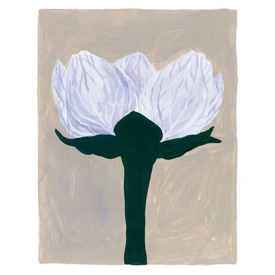 Poster Slåtterblomma, 40x50 cm