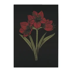 Serviette de cuisine Kapamaryllis 48x70 cm, Noir-rouge