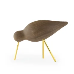 Shorebird noyer-Laiton, Moyen