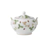 Sucrier Wild Strawberry, Multi