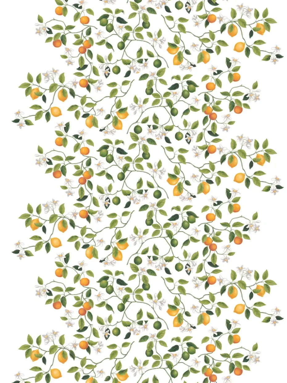 Toile cirée Citrusträdet, Vert-vert