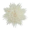 Étoile de l'avent Maja Ø50 cm, White