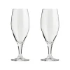 Verre à bière Passion connoisseur 40 cl Lot de 2, Clear