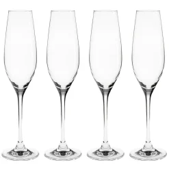 Verre à champagne Karlevi Lot de 4, 21 cl