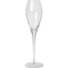 Verre à champagne Sandvig, Clair