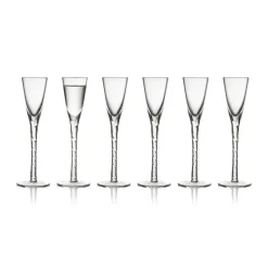 Verre à schnaps Paris 2,5 cl 6 pièces, Transparent